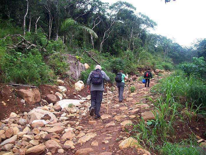 Flores Overland Wae Rebo Trekking2