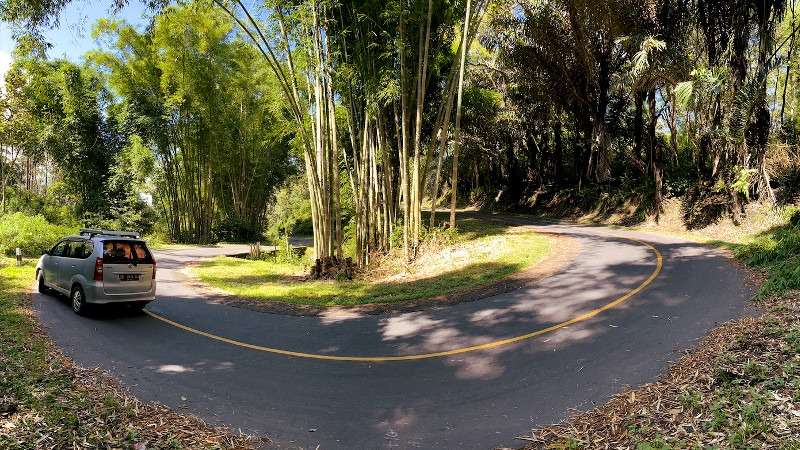 Bajawa Driving