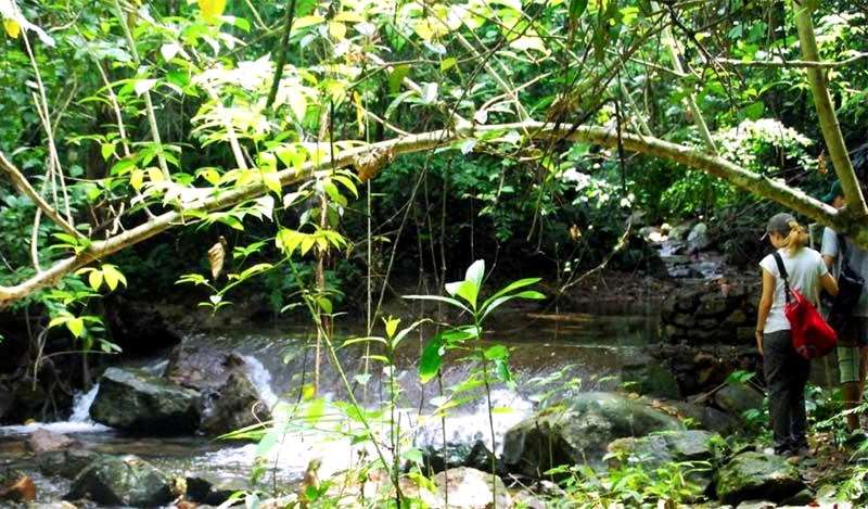 NorthSulawesi Bogani Trekking