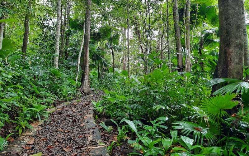 MaleoSanctuary Path