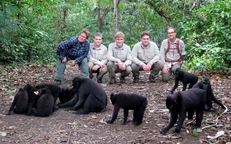 Tangkoko BlackMacaques Group