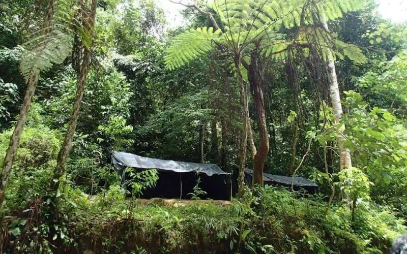 Jungle Camp with Bukit Lawang Jungle Trekking