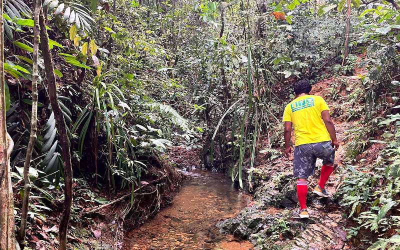 BL Jungle Trekking
