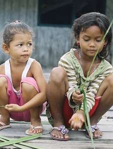 8D7N Dayak Tour