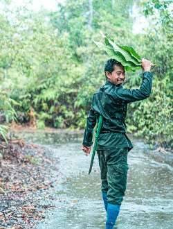 6D5N Photography Tour in Tanjung Puting