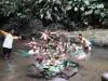 BL_Jungle Party