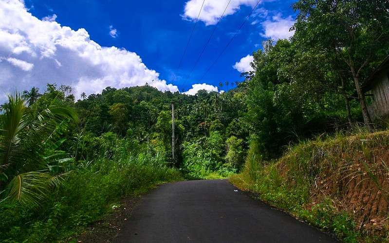 Ampana Road