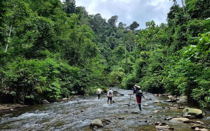 BL DeepJung RiverTrek