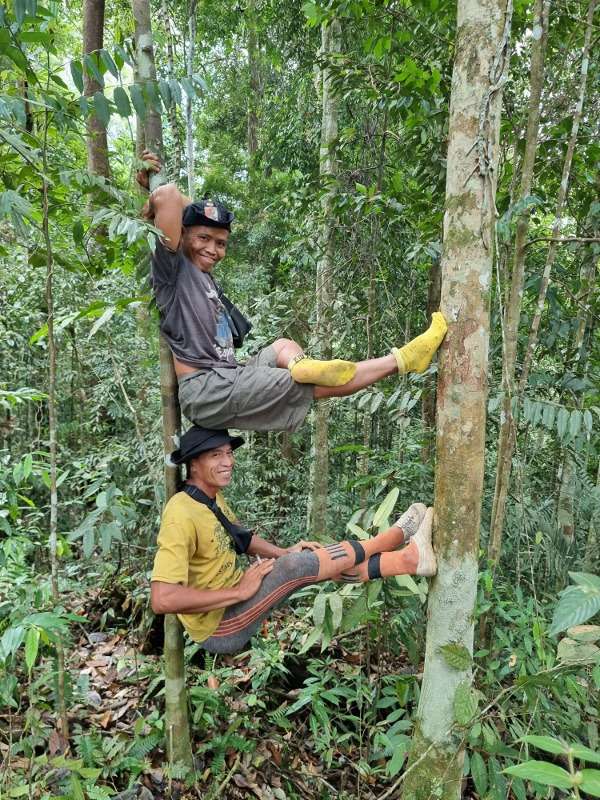 BL DeepJungle Climbing