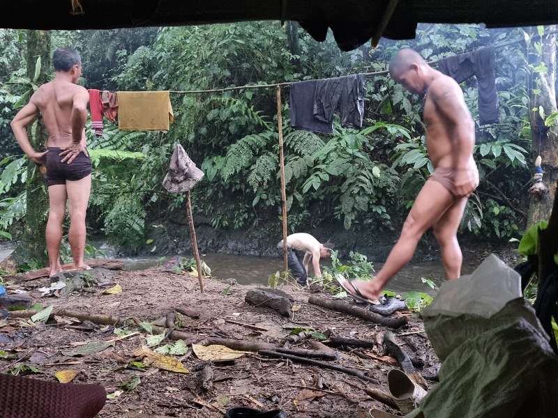 BL DeepJungle Naked